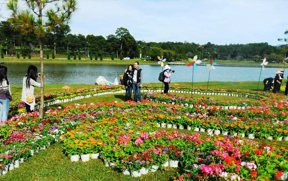 Mùa hoa Đà Lạt mang lại những khung cảnh lãng mạn nhất