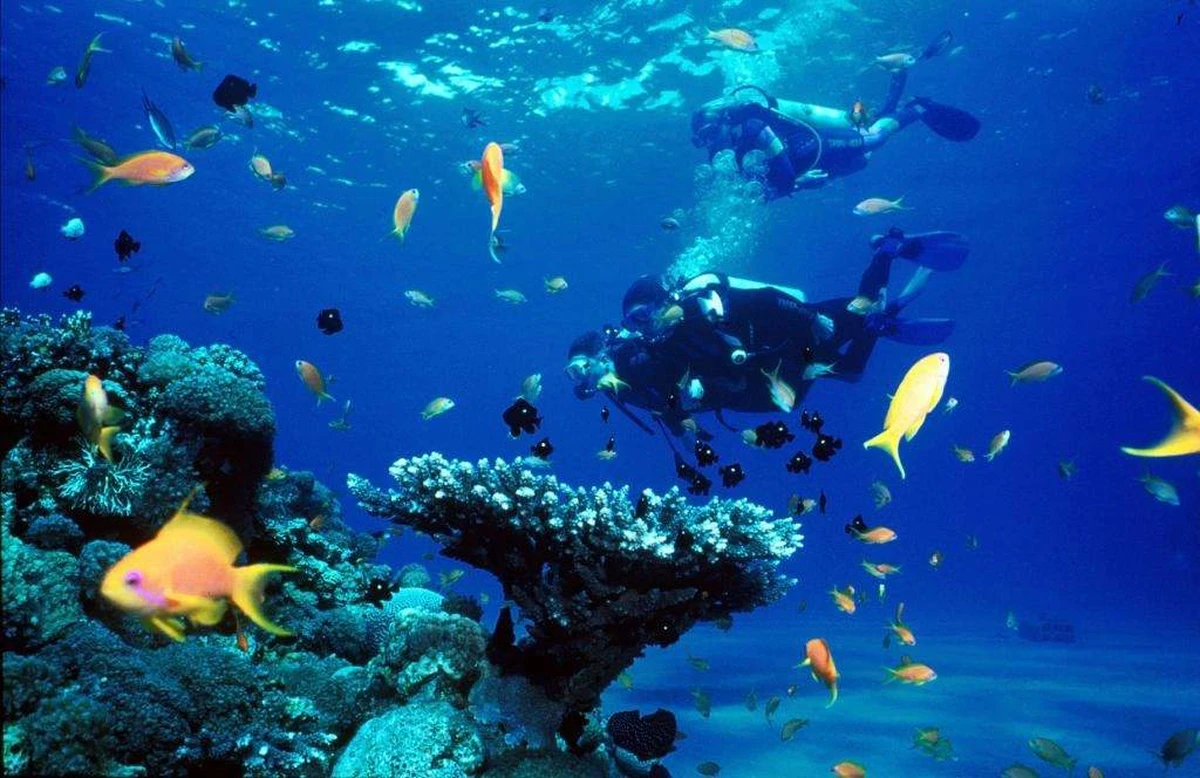 Lặn biển Nha Trang ngắm nhìn đại dương rộng lớn