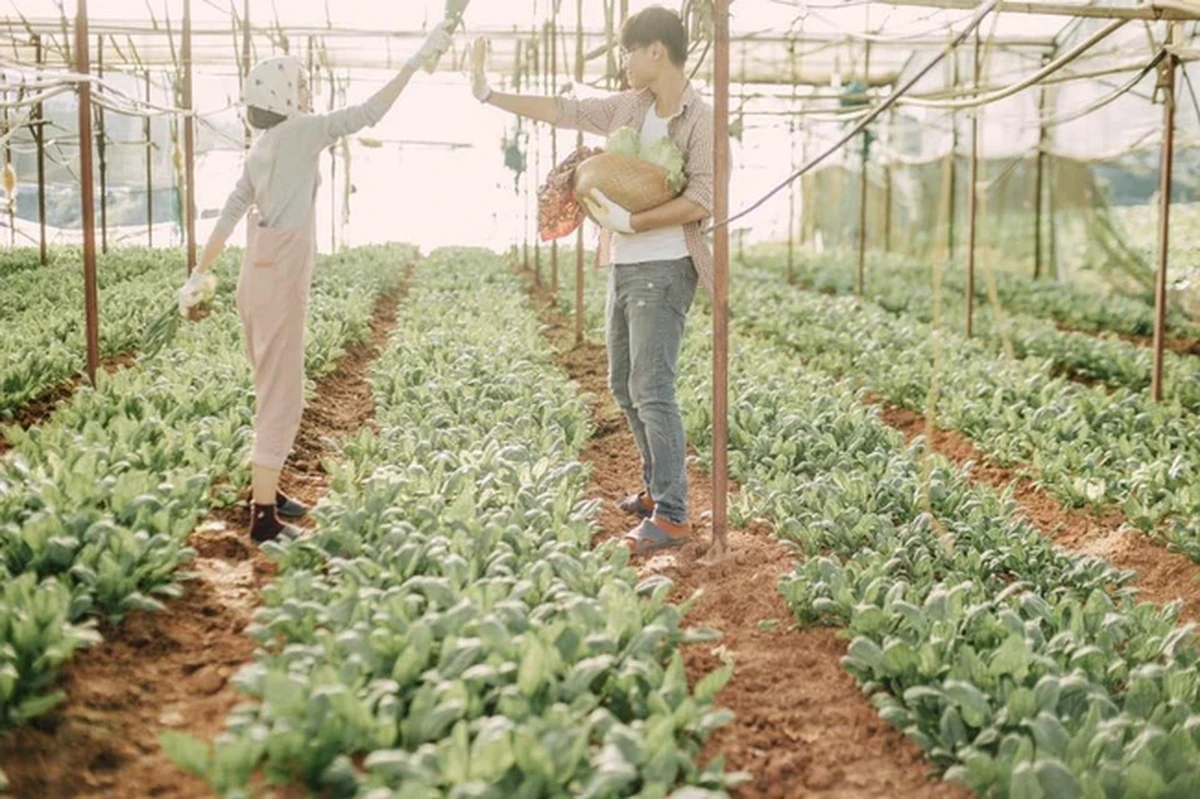 Đôi nam nữ đang vui vẻ đập tay với nhau