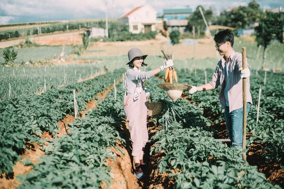 Cô gái mỉm cười đưa những củ cà rốt vào giỏ