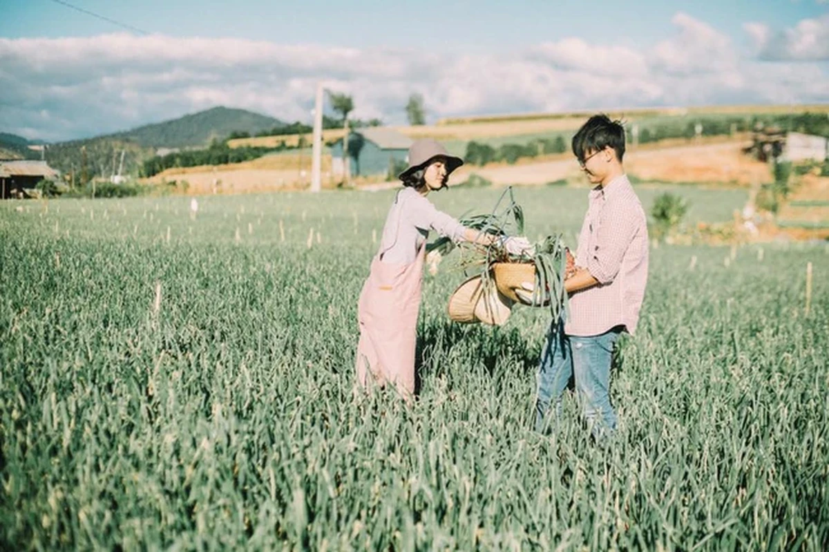 Cô gái tranh giành món đồ trên tay chàng trai