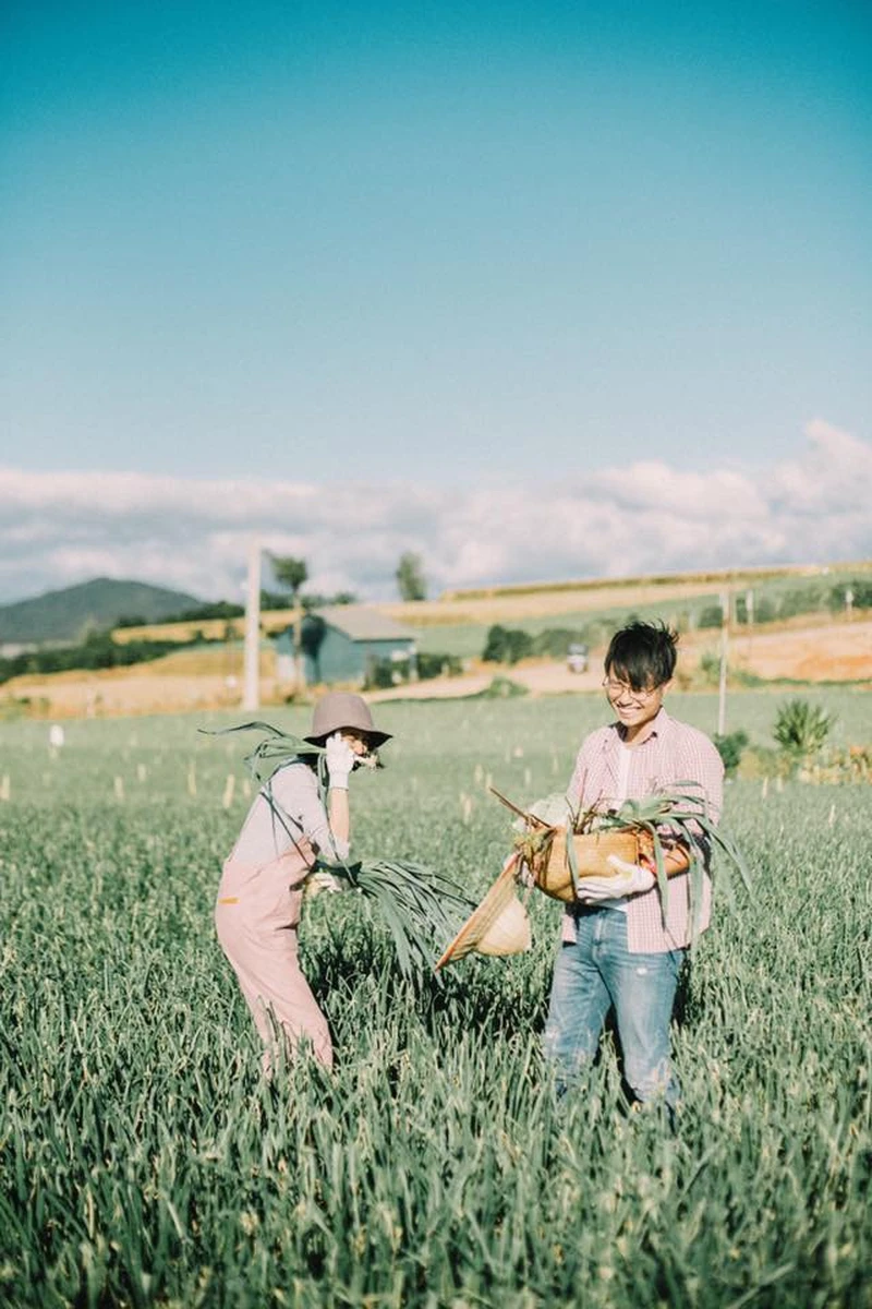 Cặp đôi rạng rỡ vui đùa và thu hoạch nông sản giữa cánh đồng hành xanh mướt trải dài dưới trời xanh, mang lại phong cách chụp ảnh cưới tự nhiên độc đáo