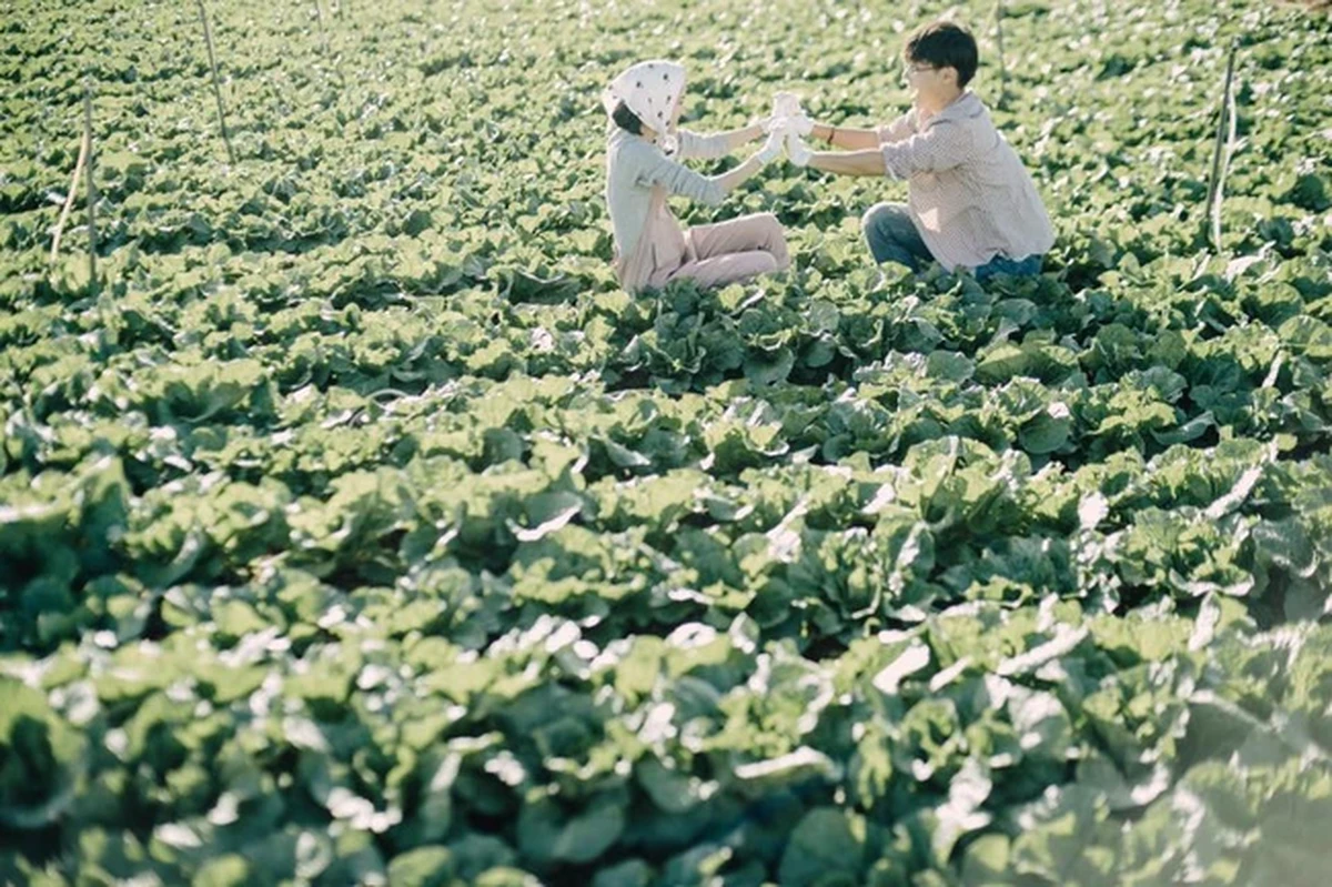 Đôi nam nữ ngồi đối diện nhau giữa cánh đồng