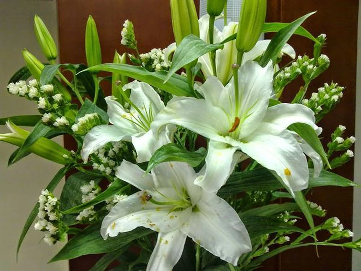 Hoa Lily trắng mang ý nghĩa trong sạch, tinh khiết được dùng trang trí bàn thờ gia tiên ngày cưới 