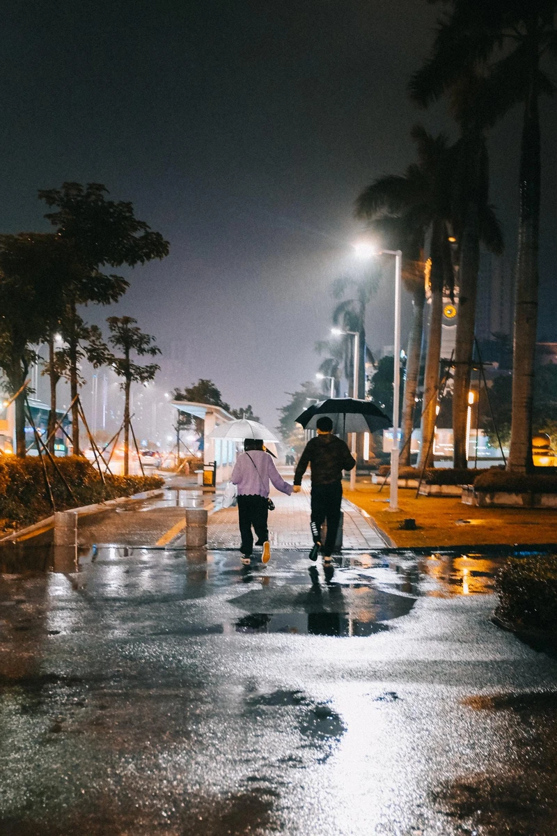 Cặp đôi đang che ô dạo bước với nhau trong buổi đêm mưa