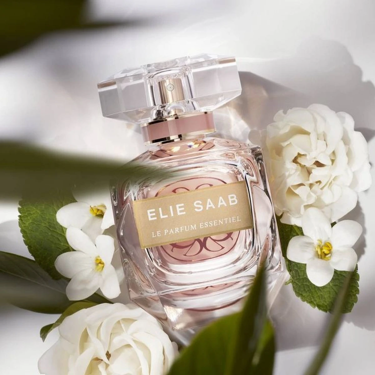 Dòng nước hoa Elie Saab Le Parfume của Elie Saab