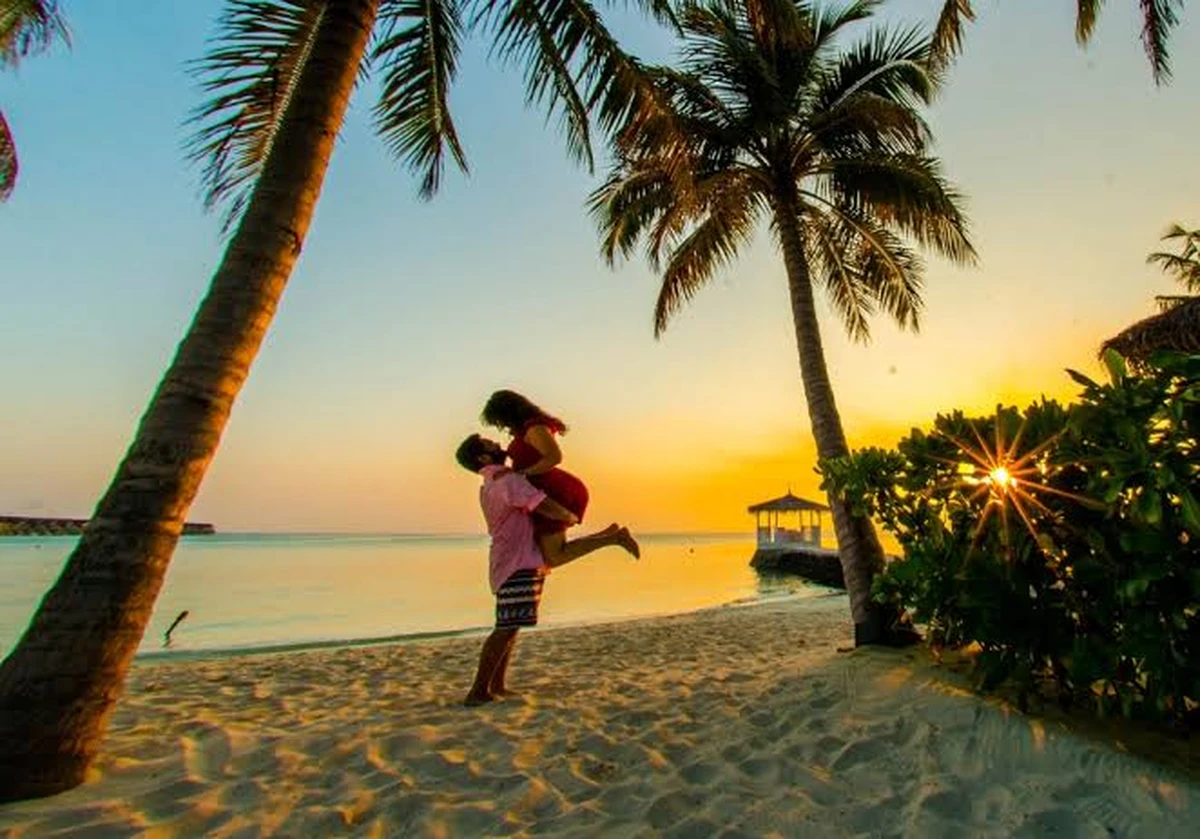 hình ảnh cặp đôi đang ôm nhau giữa biển với các hàng dừa trong hoàng hôn